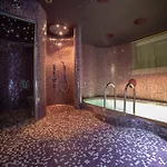 Diamond Prywatny Basen & Sauna Apartament Poznan